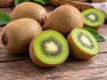 درخت کیوی سبز (Hayward)؛ ویژگی‌ها، شرایط کاشت و پرورش، نگهداری و خواص میوه